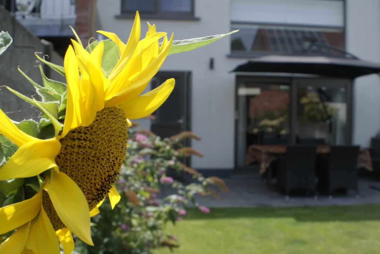 B&B Klinkaart Rumst Buitenkant foto